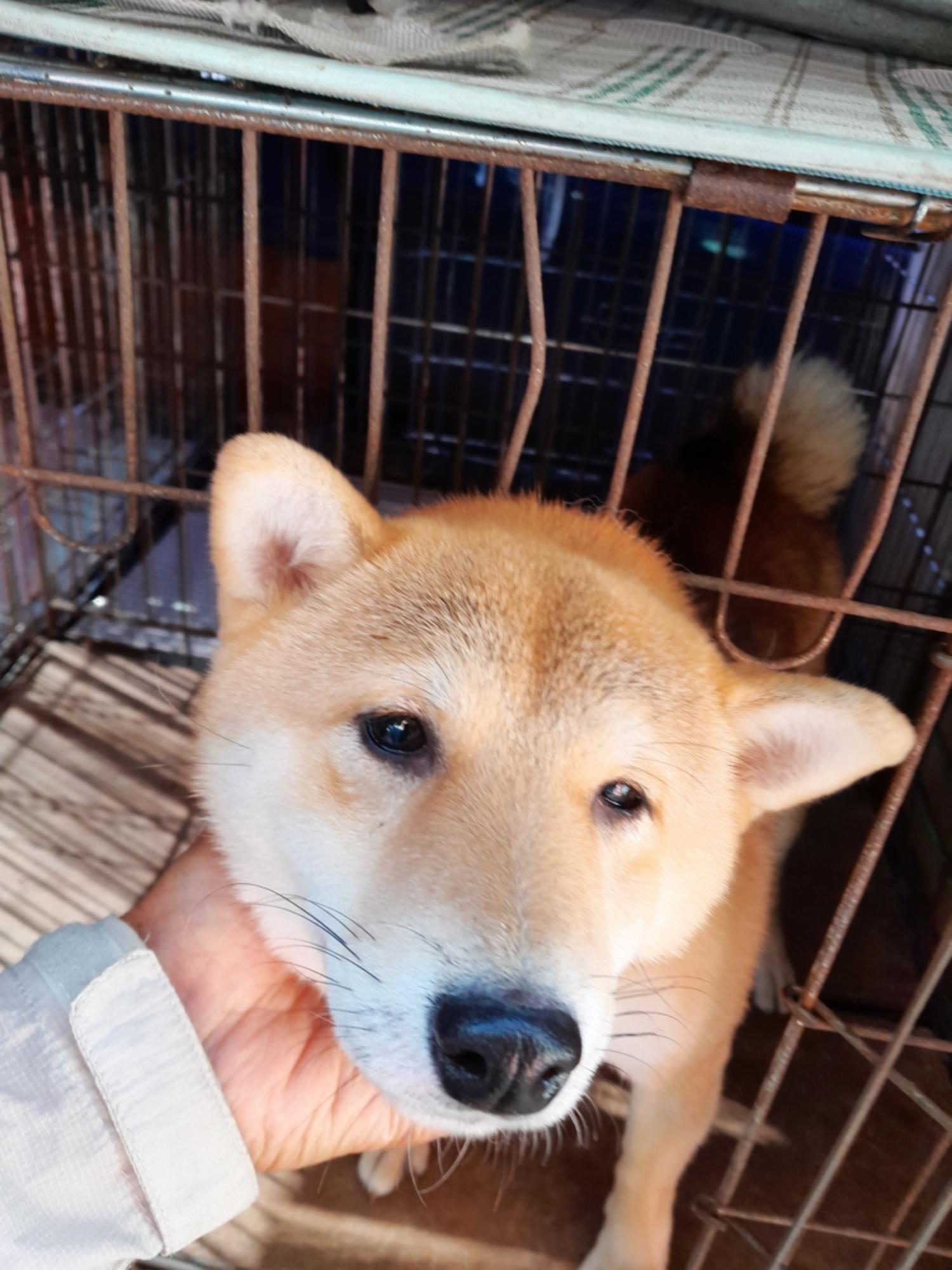 인천광역시수의사회_428353202301173
